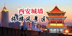 美女自慰抠穴流白浆中国陕西-西安城墙旅游风景区